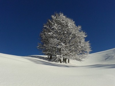 Panorami innevati