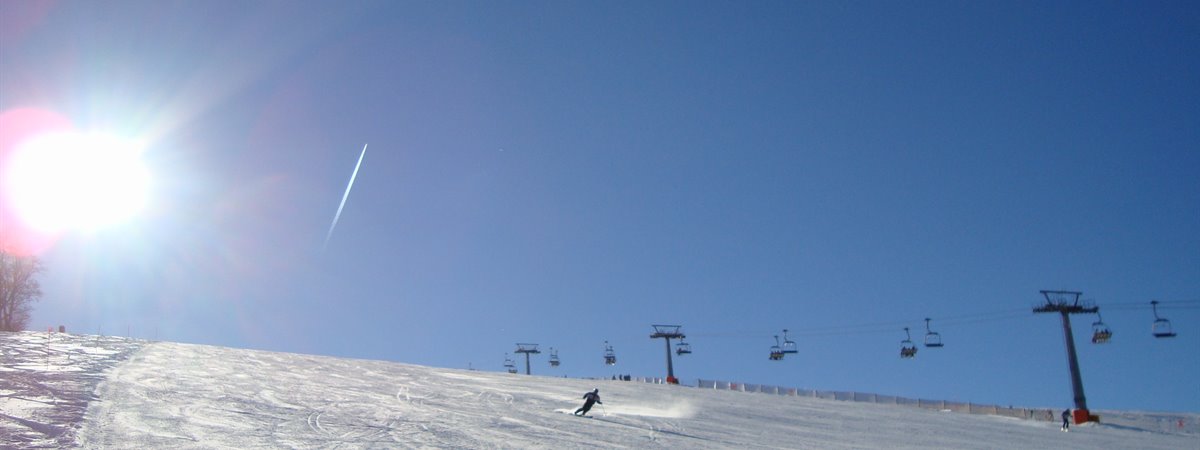 Polsa
